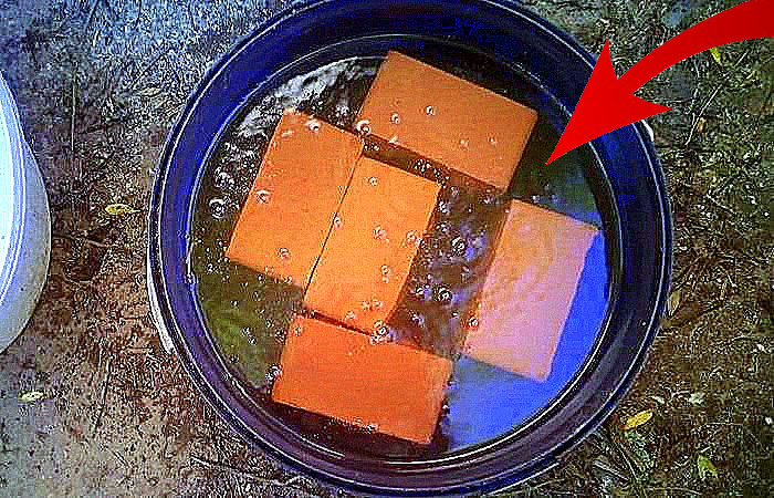 Привада на карася