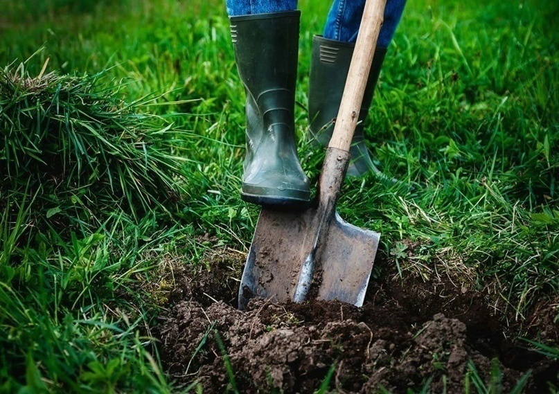 Привада на карася