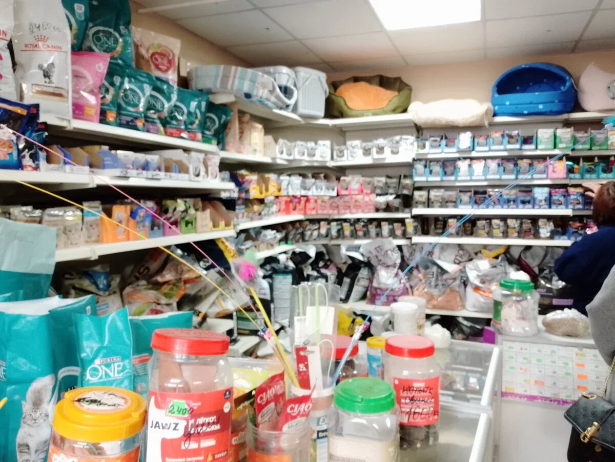 Выбор большой.Фото автора.