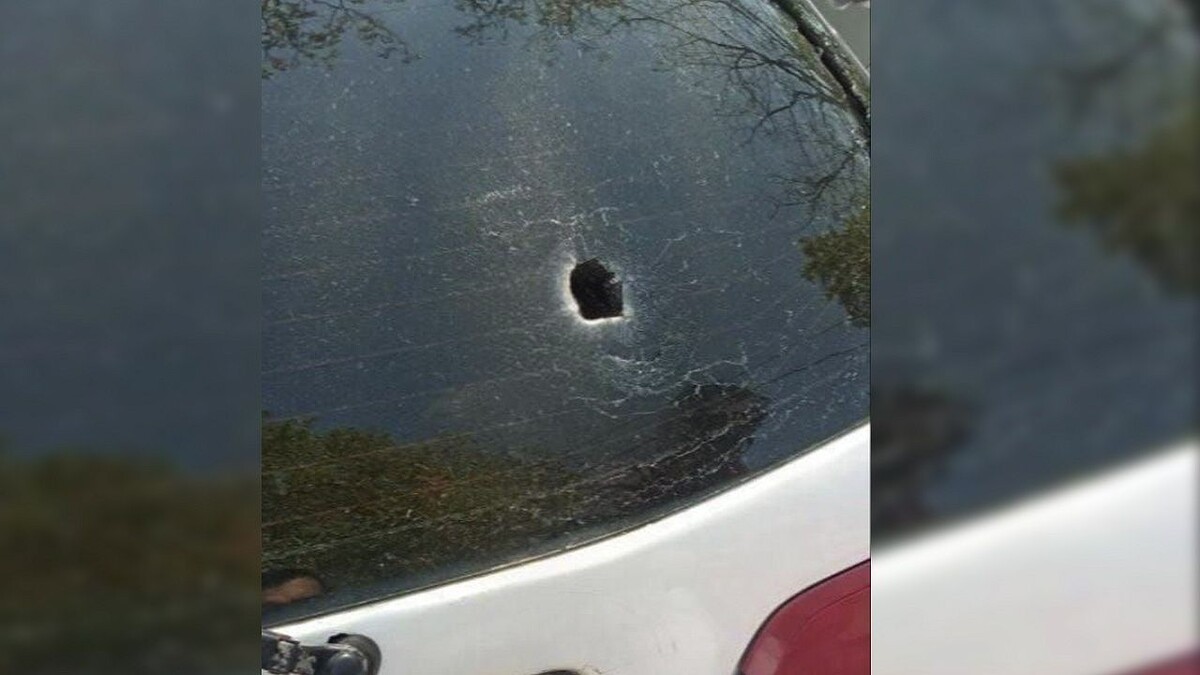    Фото: t.me/mtrk_krasnodar