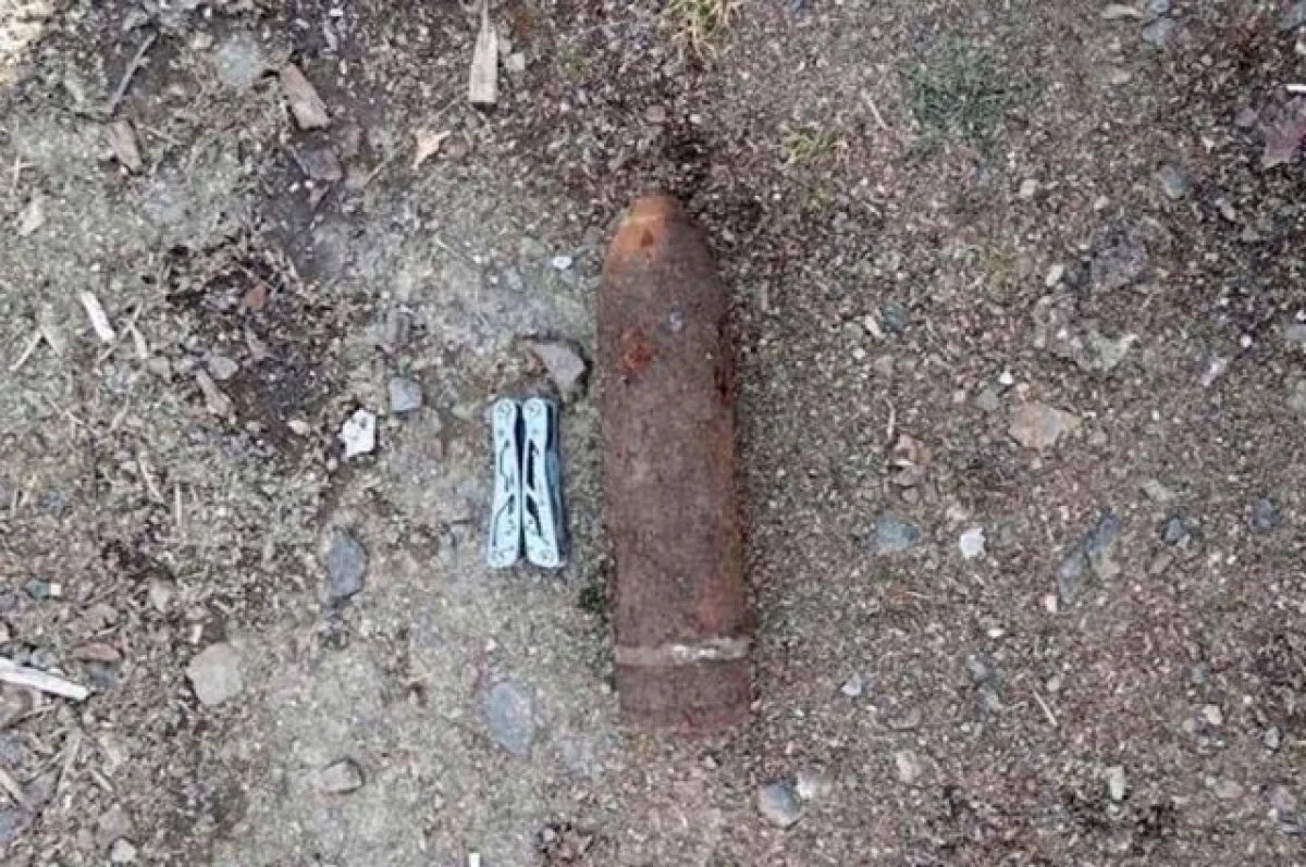    В Нязепетровске росгвардейцы обезвредили найденный артиллерийский снаряд