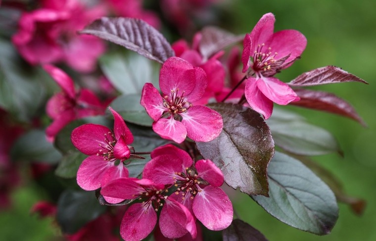    Сергей Булкин/NEWS.ru