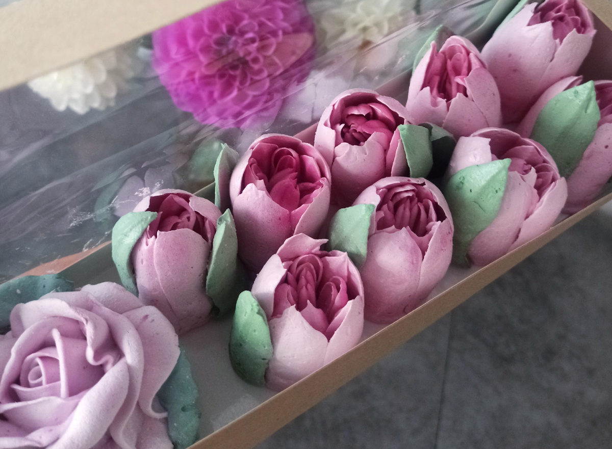 Мои первые композиции