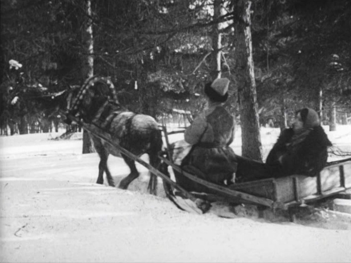 Психологически давящая поездка в лес длится сутки. Кадр из к/ф «Морозко».