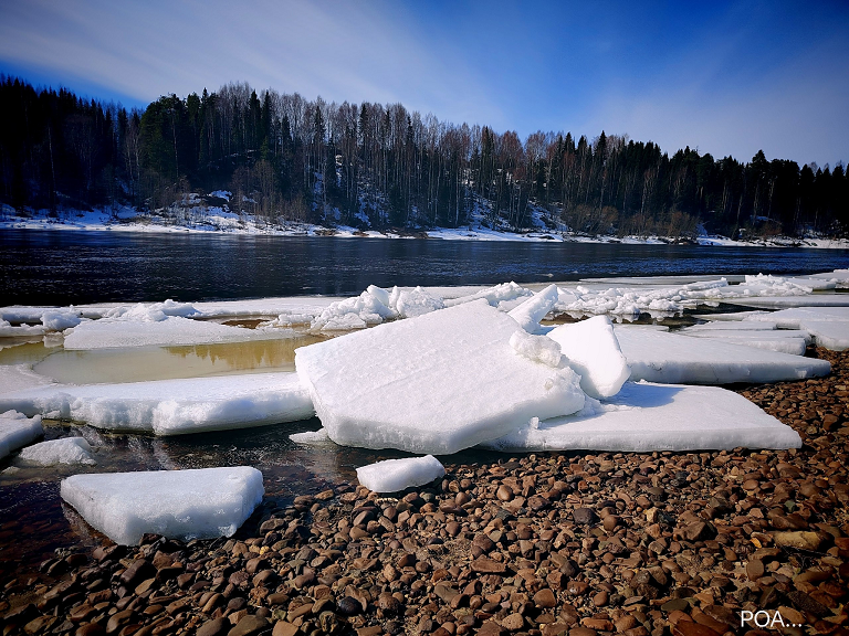 Фото Олеси Рязанцевой