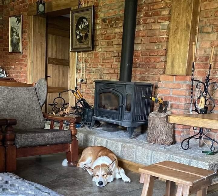 Это всё наши бывшие подопечные, которые уехали в новый дом уже взрослыми и отлично адаптировались на новом месте