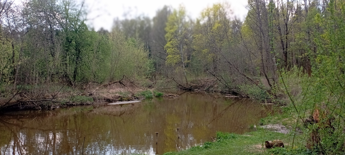 Микроречка