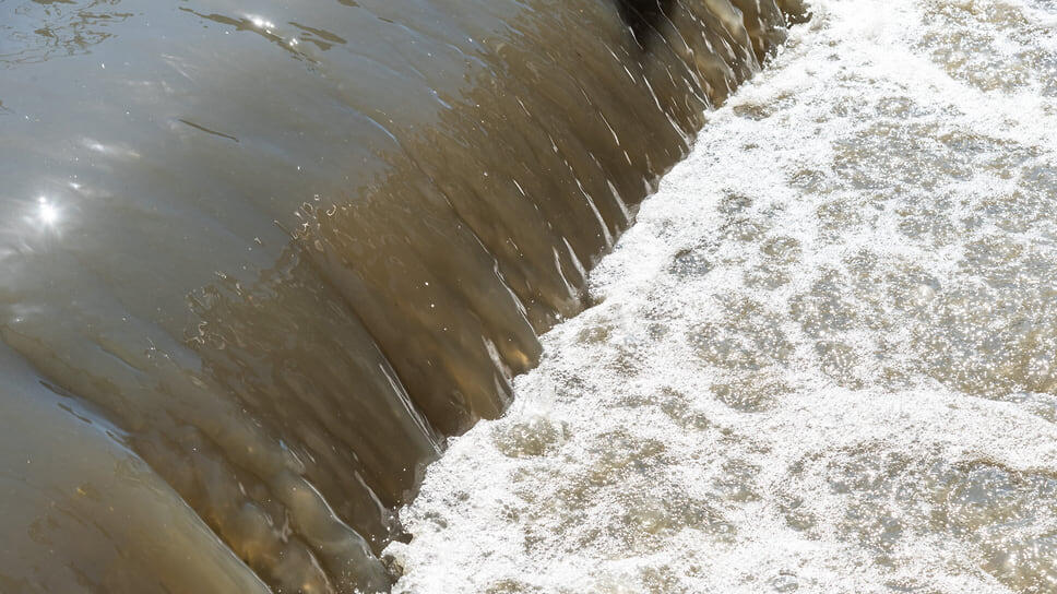 Фото: Олег Харсеев / Коммерсантъ