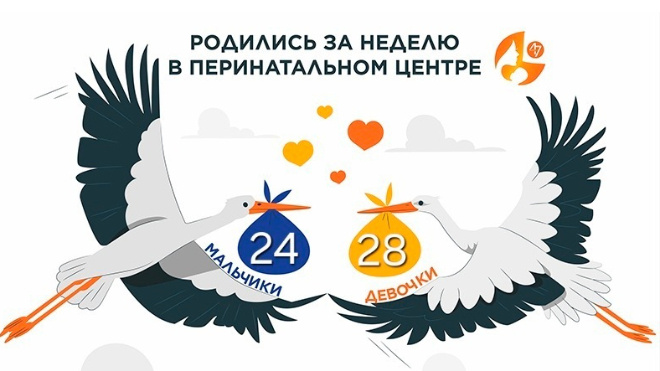 Фото: Перинатальный центр Ленобласти