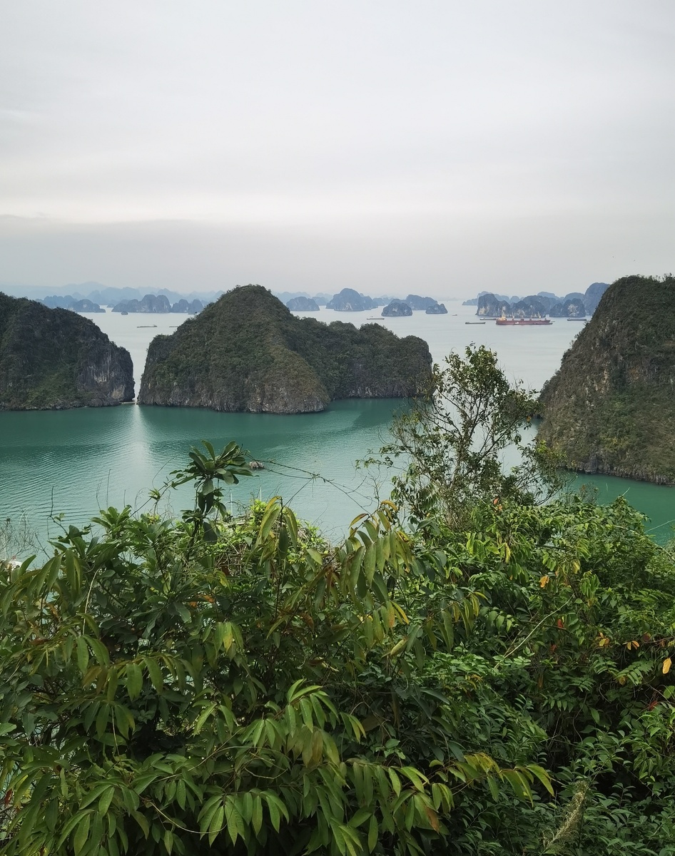 Вид на бухту со смотровой площадки