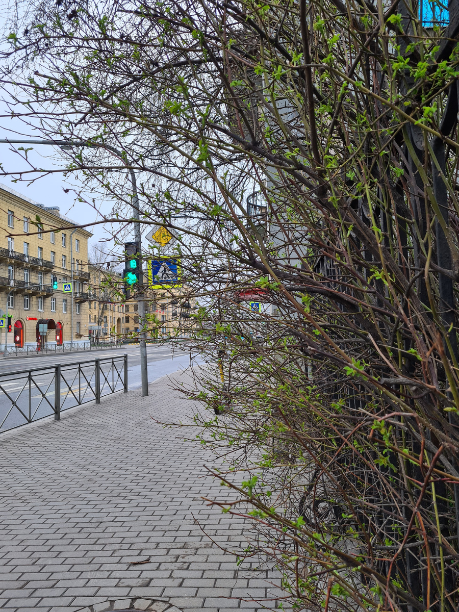 Фото из личного архива автора. 