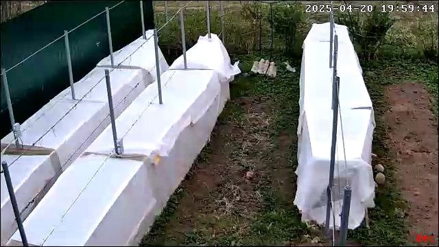  © Фото Дима Бондарев 