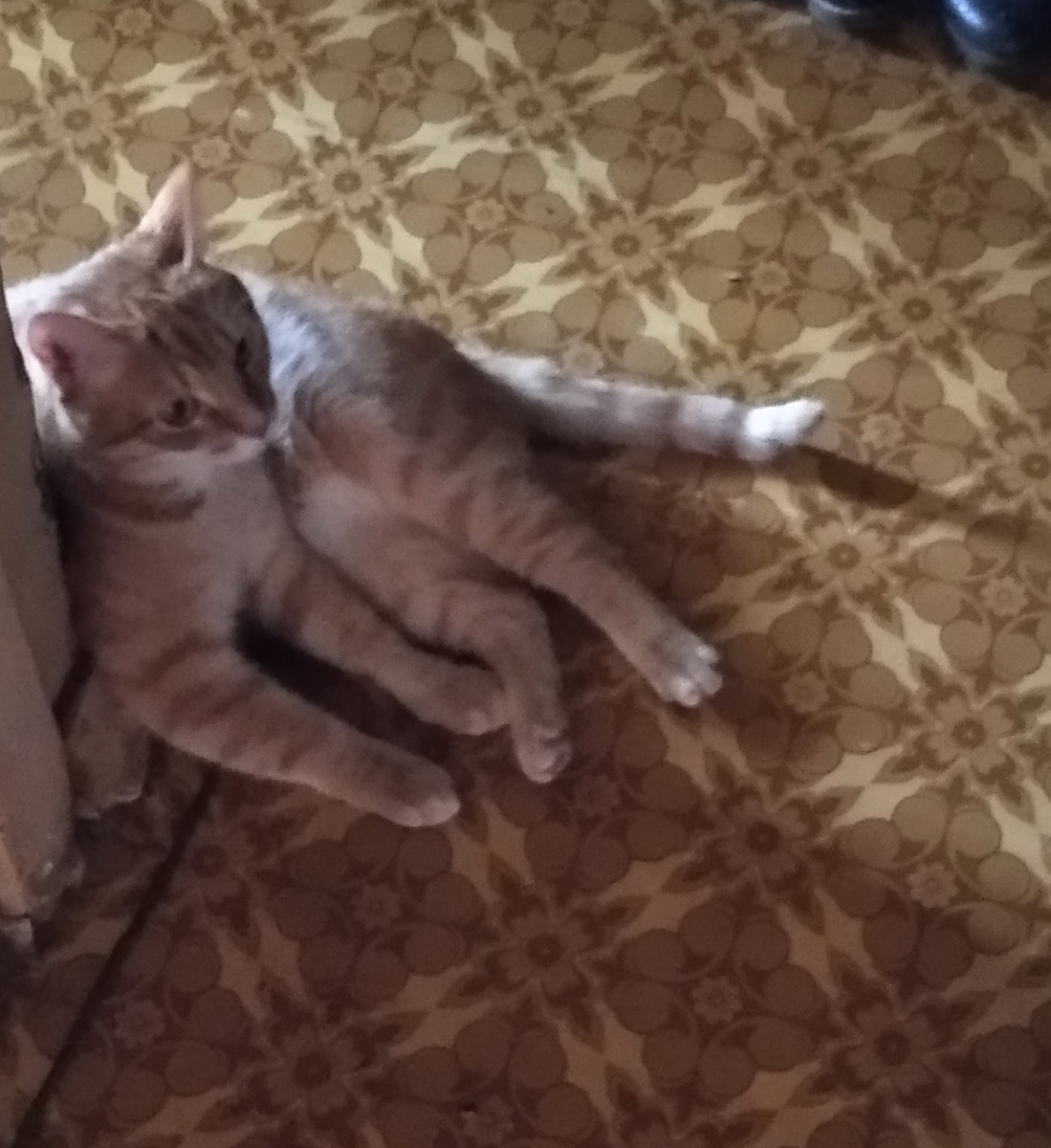 личное  фото