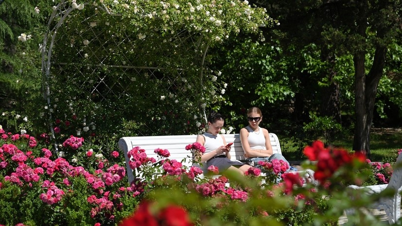   РИА Новости Екатерина Лызлова