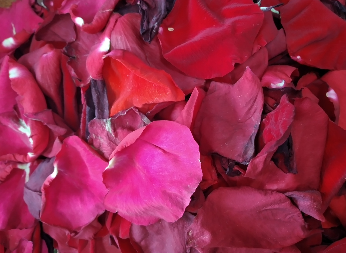 фото автора (Каждый увидит своё на этом фото).