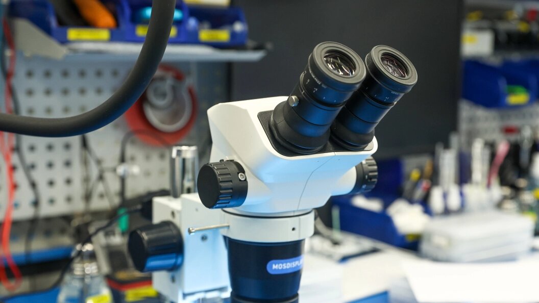    Фото: Petrov Sergey/Globallookpress