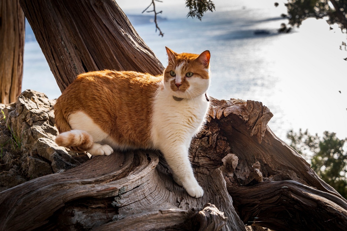 Побежали по моим следам.