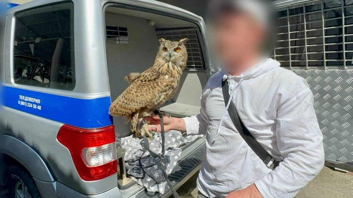    Фото: t.me/police_sochi