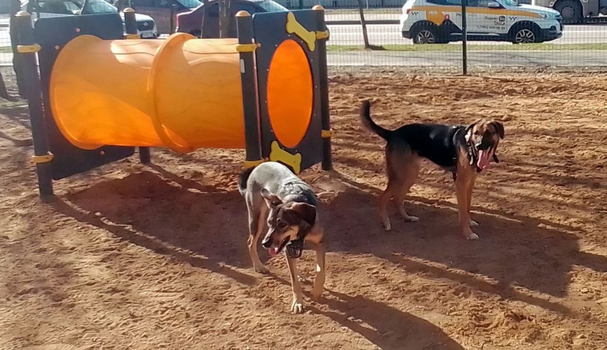 Тося и Платон