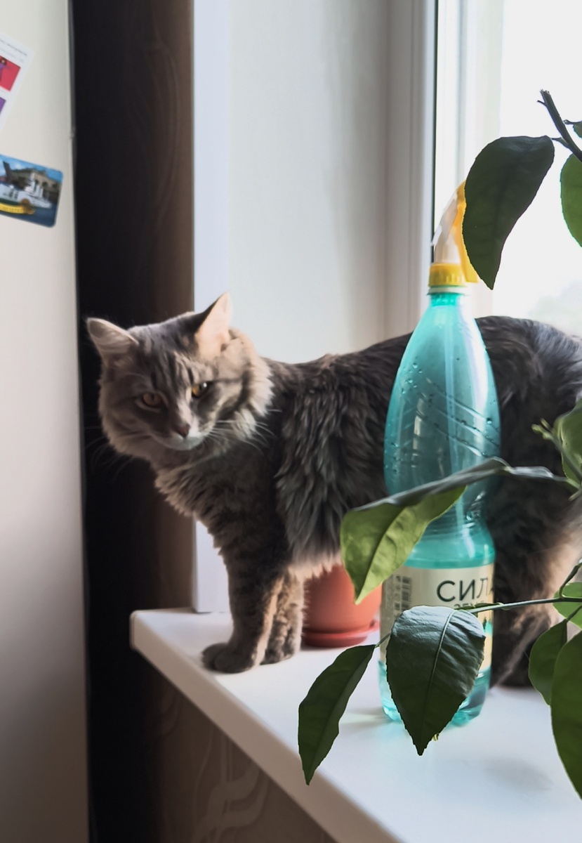 Все фотографии в статье авторские