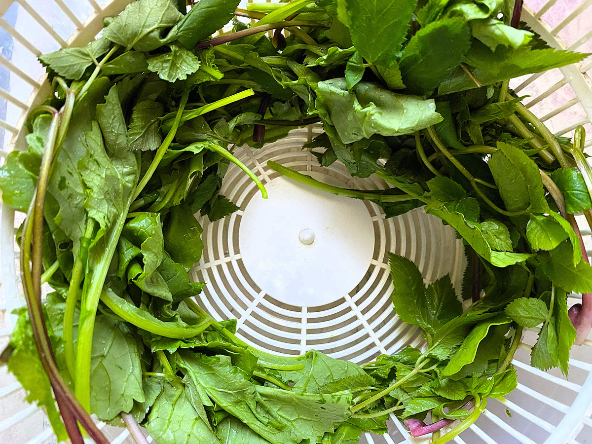 они же после вращения в сушилке, можно нарезать и добавлять в салат