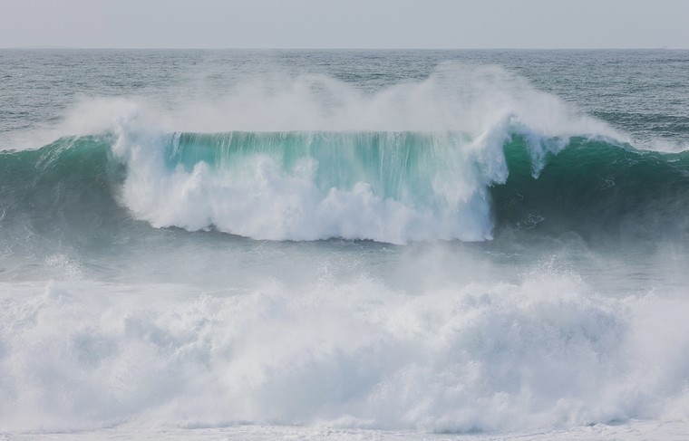    Shutterstock/FOTODOM