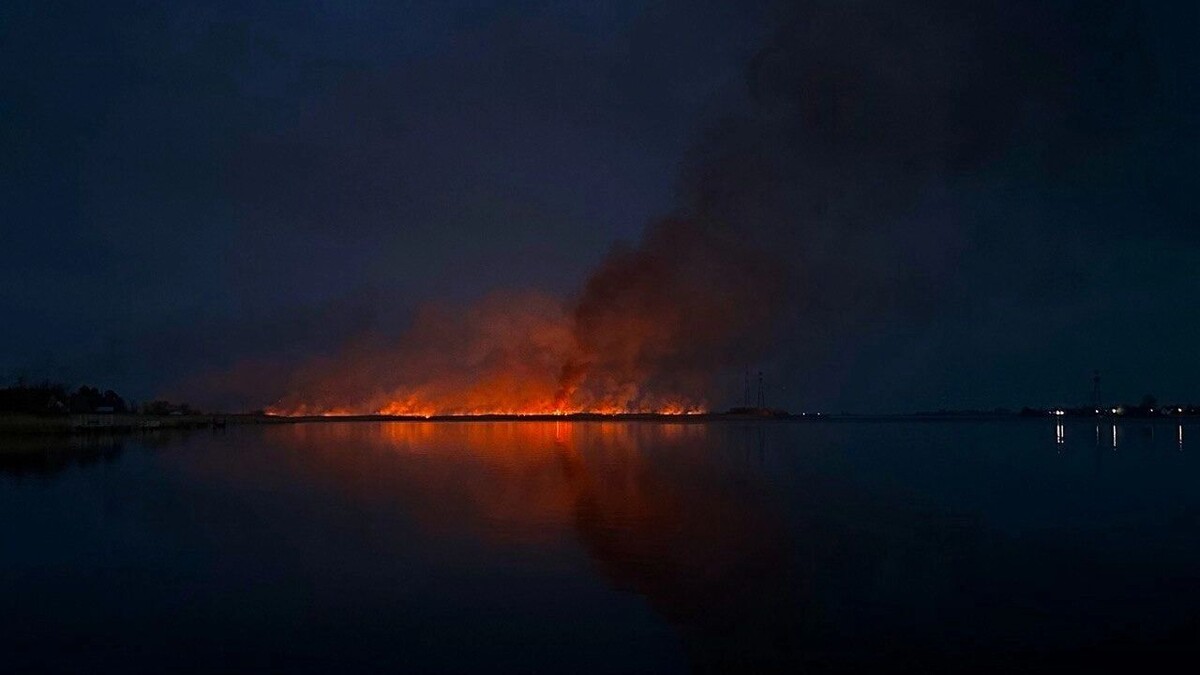     Источник: rostovgazeta.ru