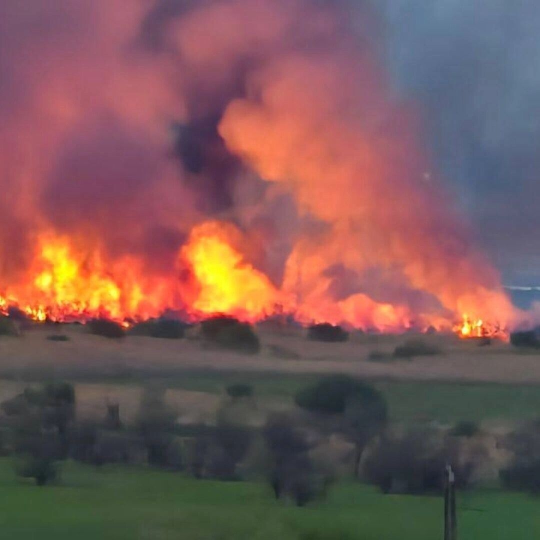     Источник: тг Ростов Главный