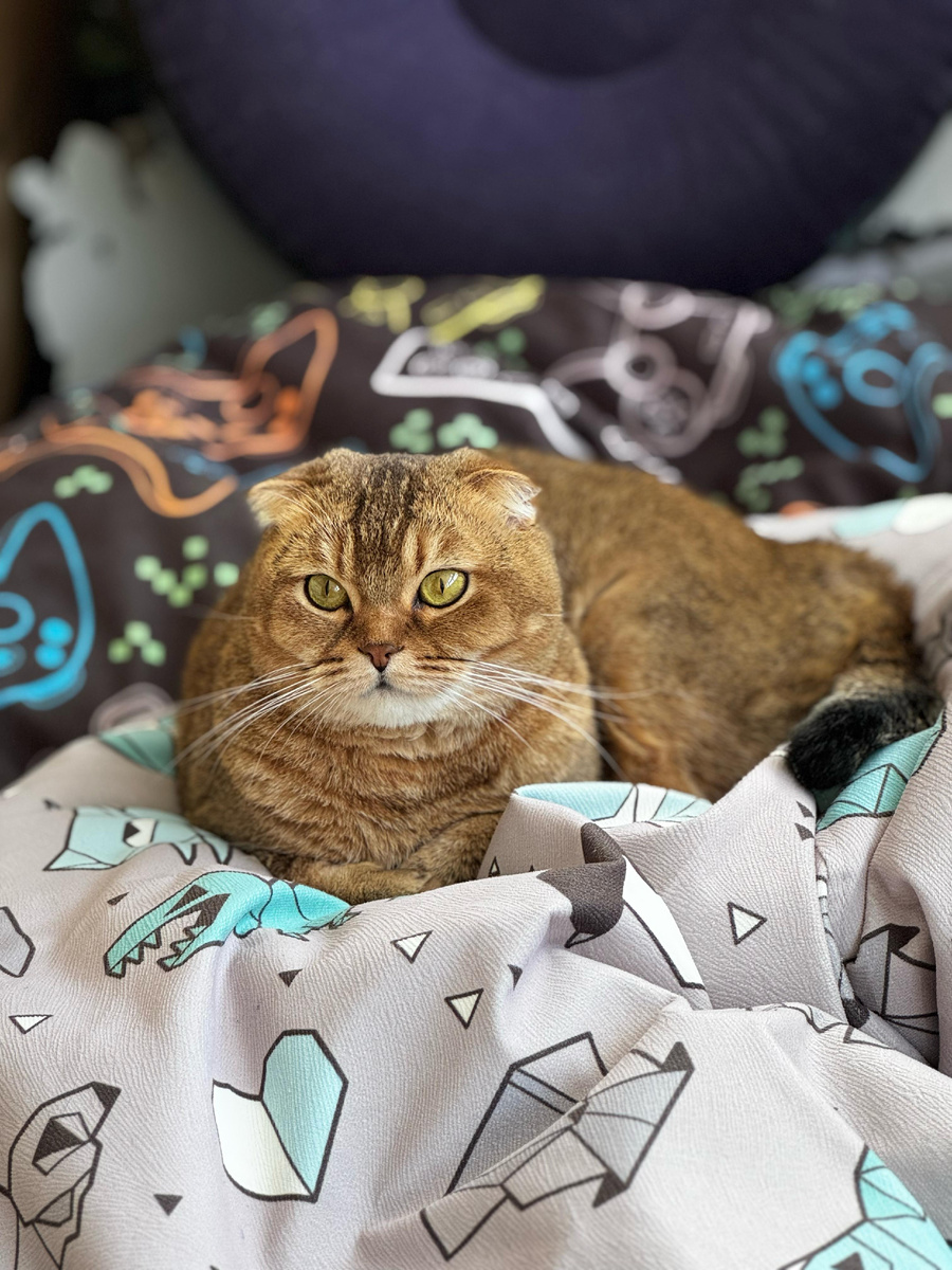 Мэй Ди (из личного архива)