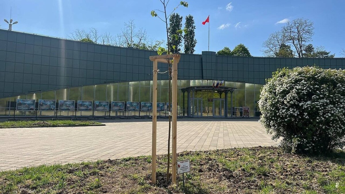    Фото: пресс-служба администрации Краснодара