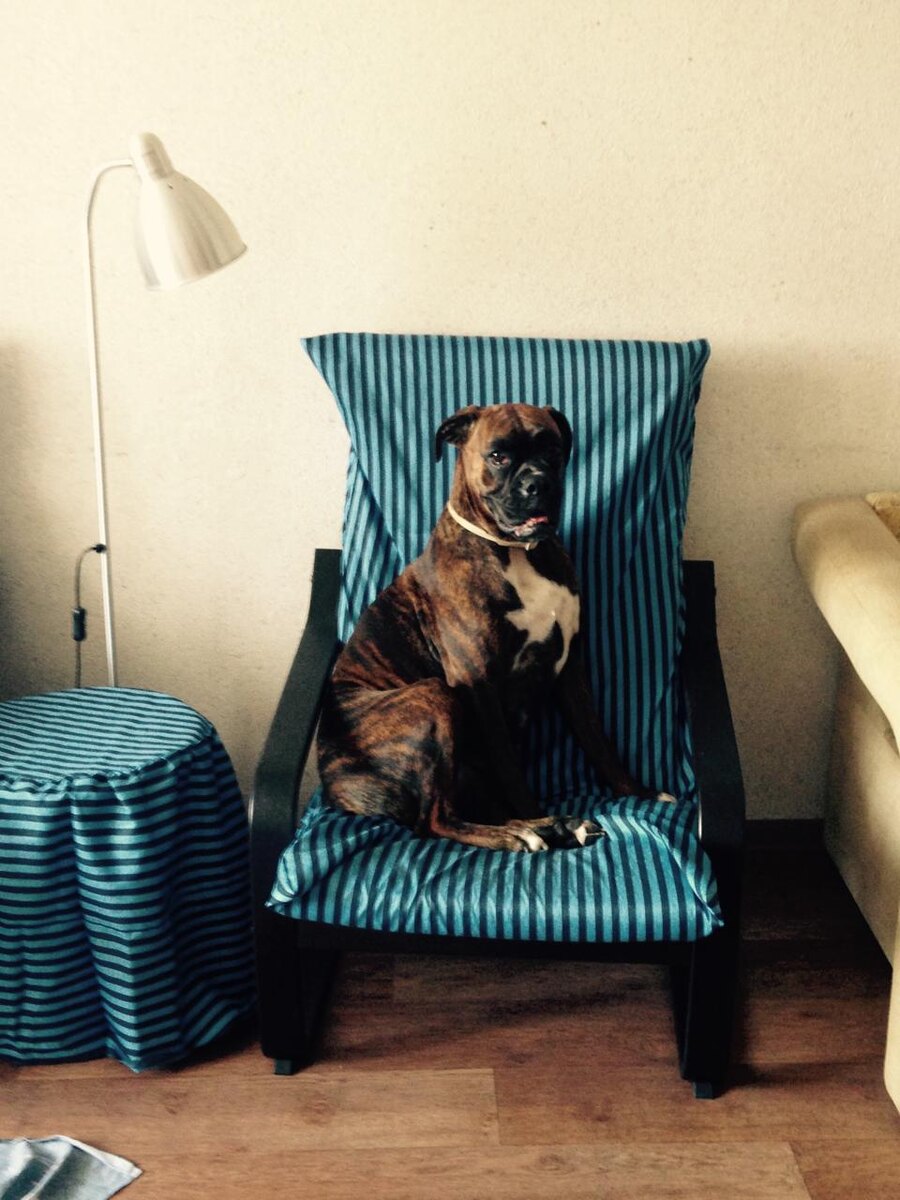 Шанти в том самом кресле. Фото из личного архива