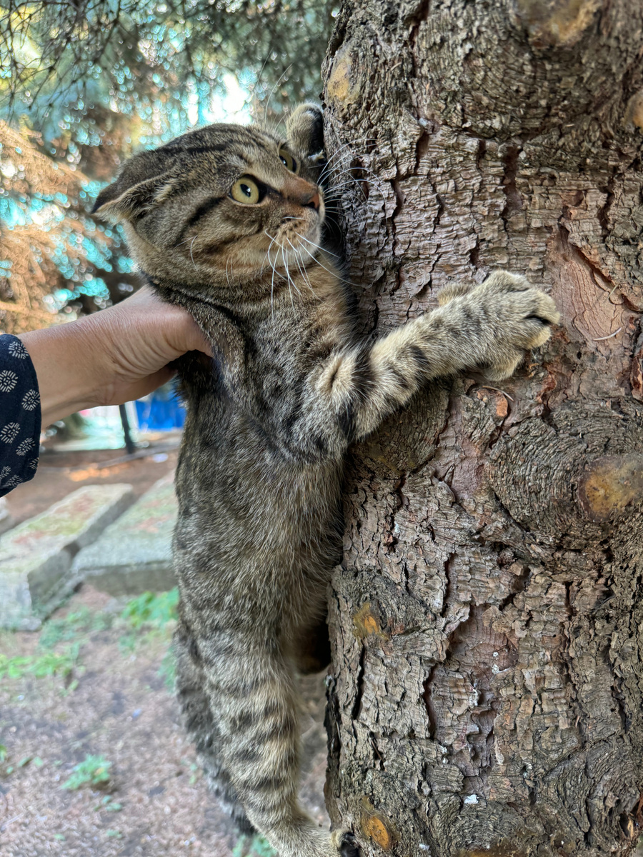 Держись, друг! Фото из архива автора