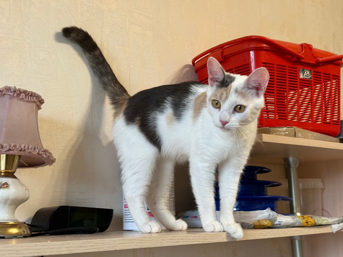 А надо ли туда прыгать? Может я и здесь посижу?! Фото из архива автора