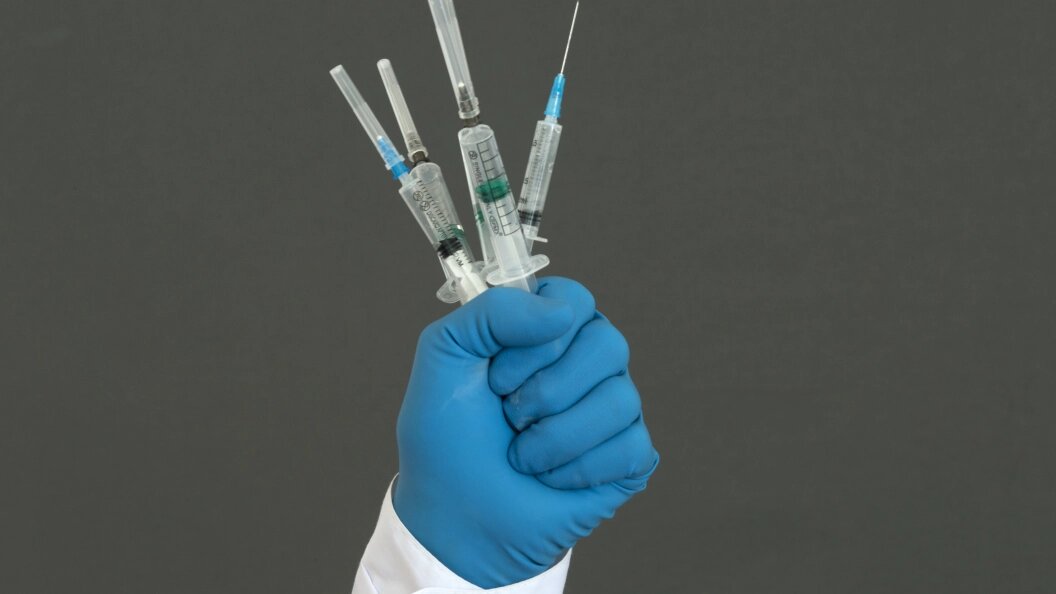    фото: Nikolay Gyngazov/Global Look Press