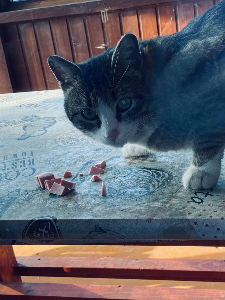 Космос иногда все же кушает у нас колбаску.