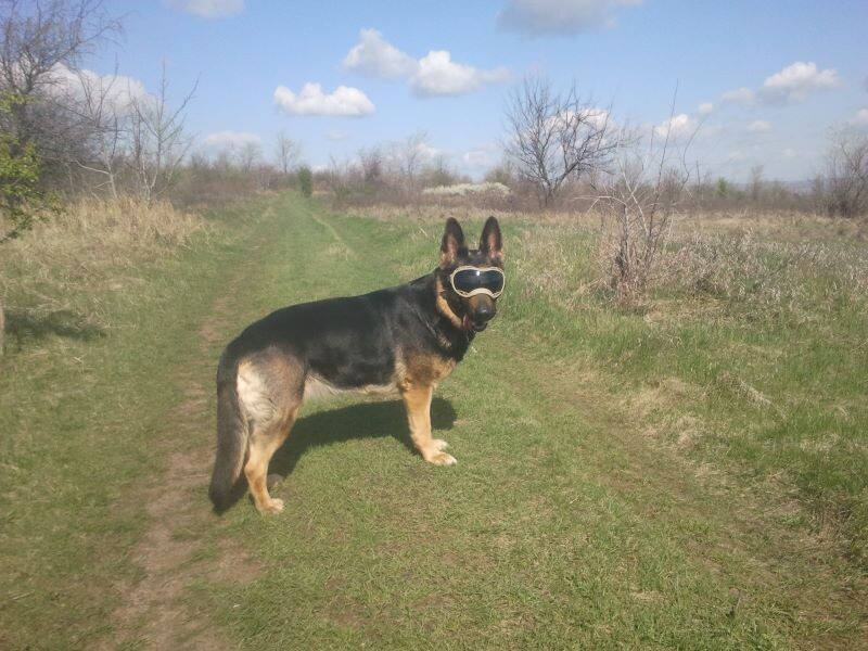 Фото автора