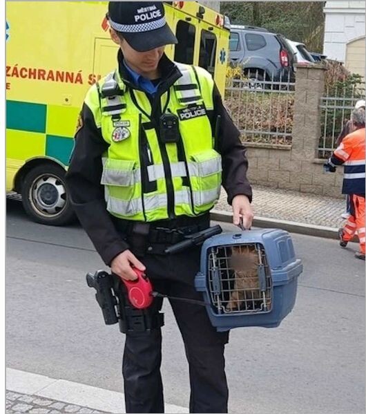 фото с того же портала, преступник задержан