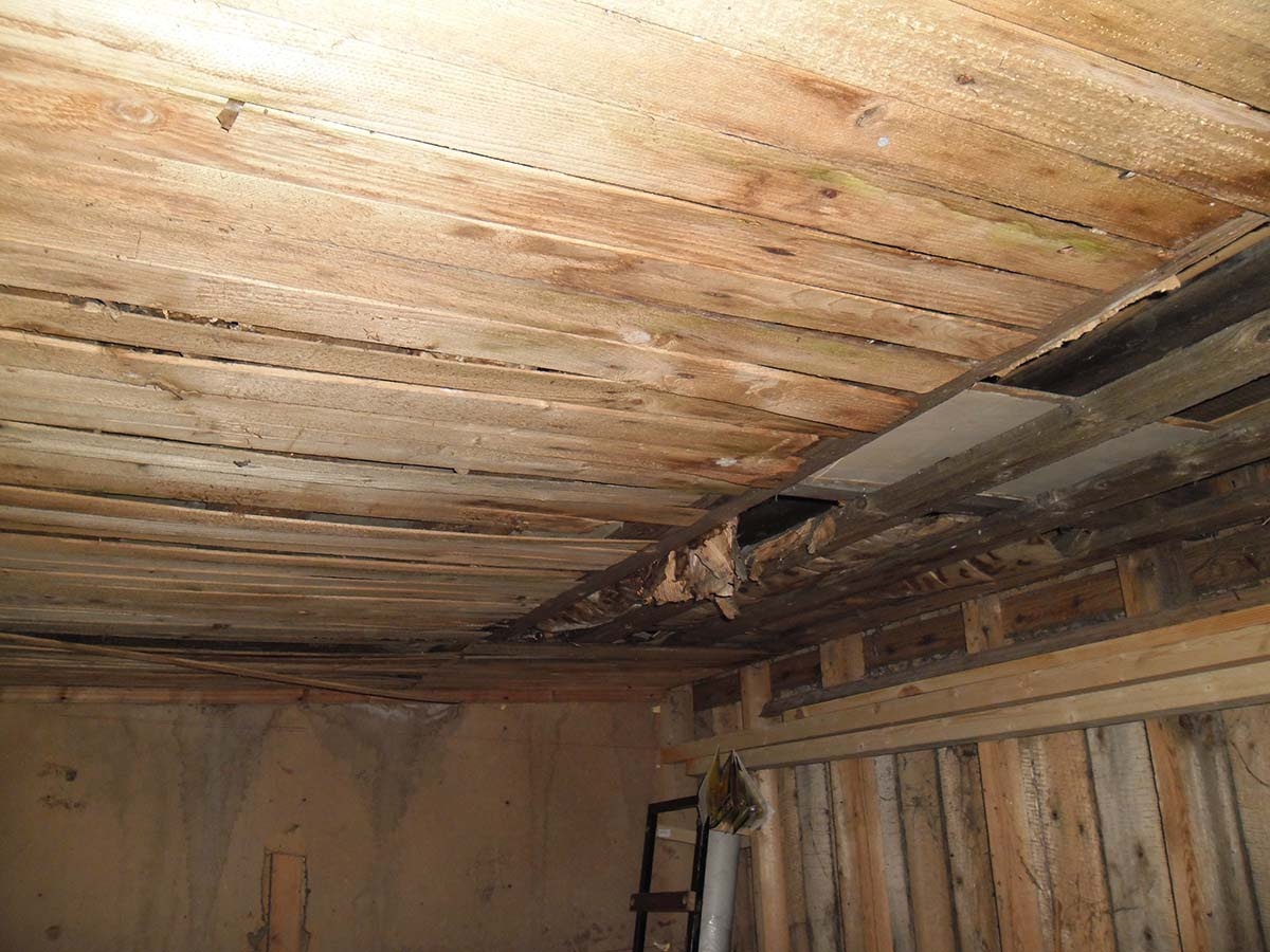 "Бюджетный" потолок