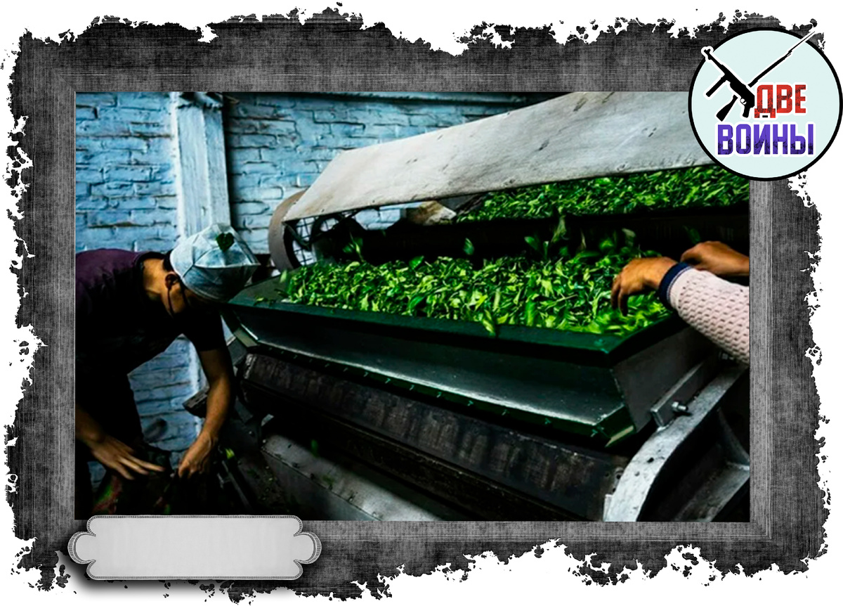 Машинная ферментация в Индии. Фото в свободном доступе.