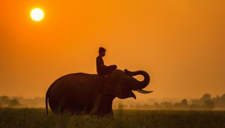     Фото: по лицензии CC0 Pxhere.com