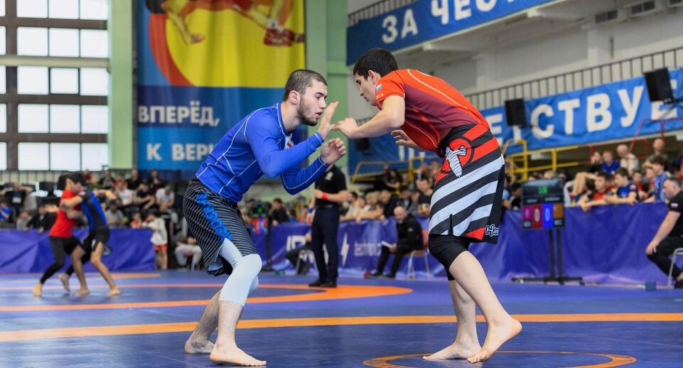    Федерация спортивной борьбы грэпплинг города Москва