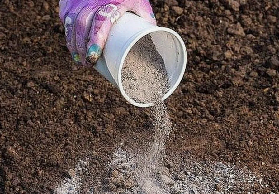 Внесение подкормки