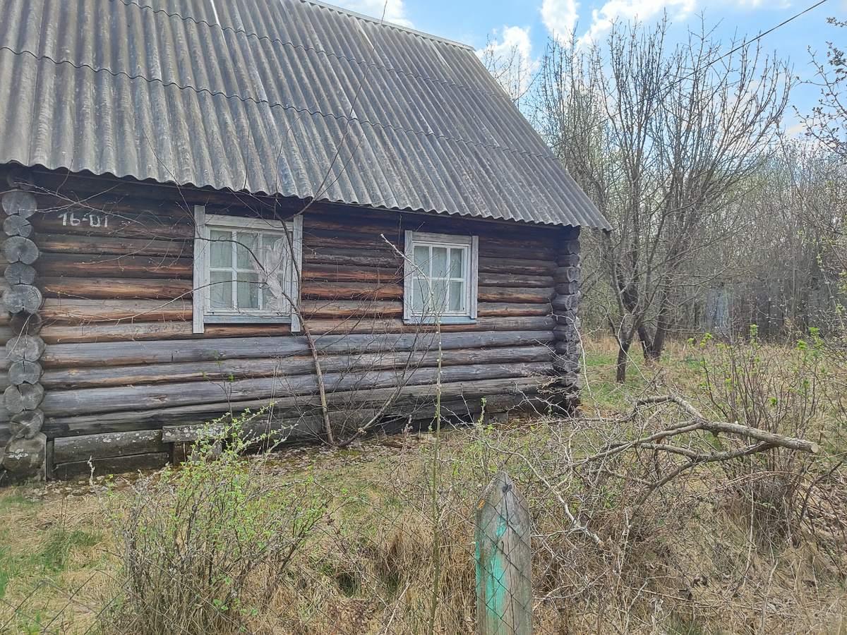 Дерево под окном меня пугает.. 