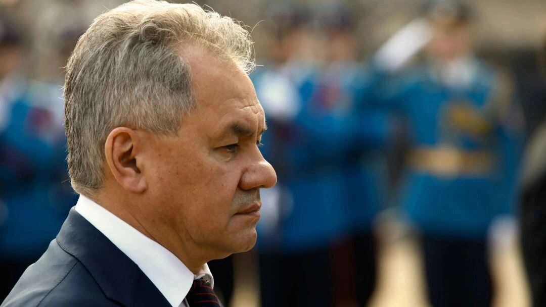    Фото: Sasa Dzambic Photography/Shutterstock/Fotodom