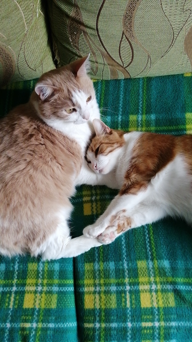 Ася и Дуся. Ася мама, а Дуся дочка😁