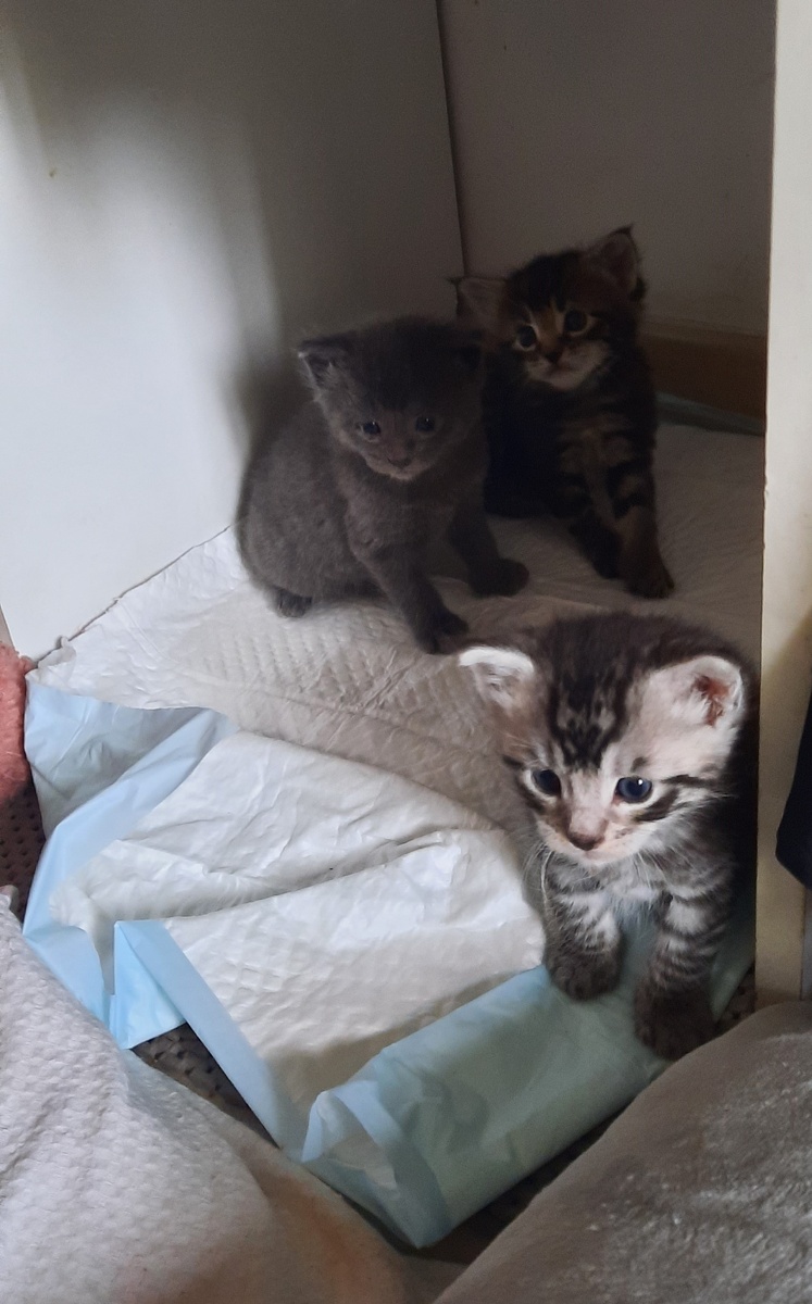 Здесь им почти месяц