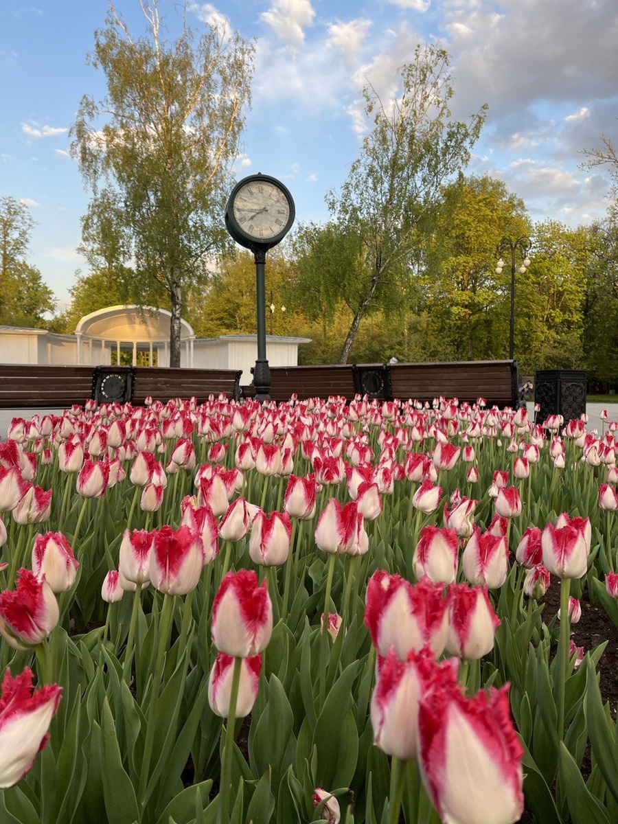 Парк Останкино