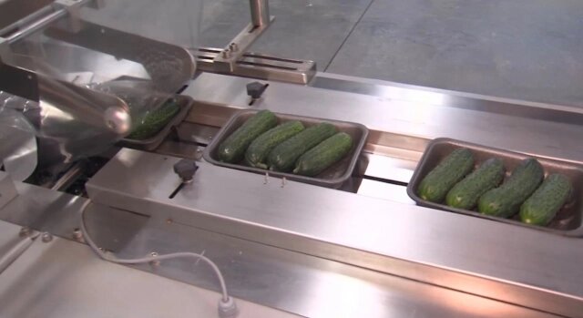    Фото: ПАО "Ростелеком"