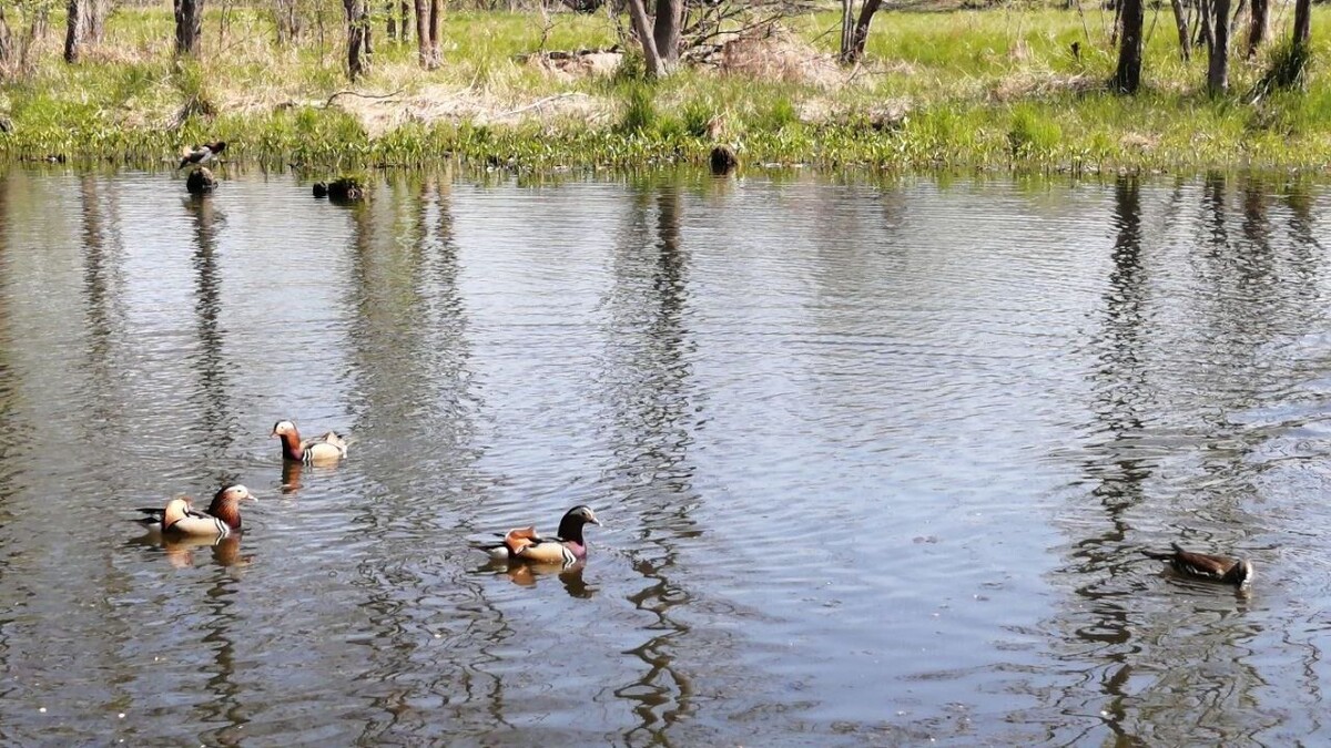     Источник: vostokmedia.com