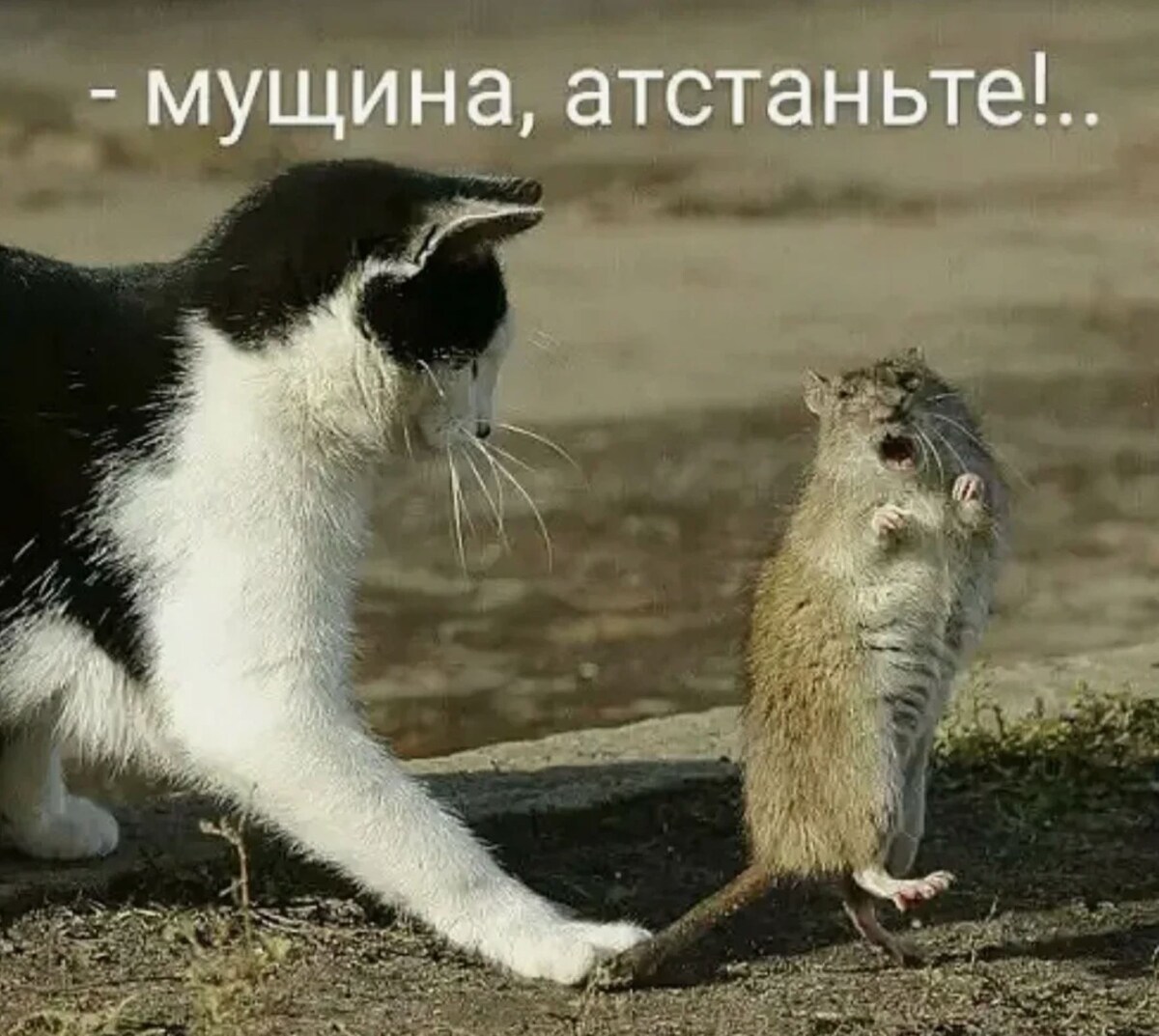 источник Яндекс-картинки